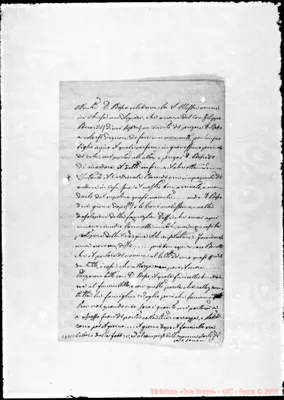 Fotogramma C 11