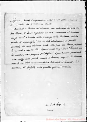 Fotogramma C 11