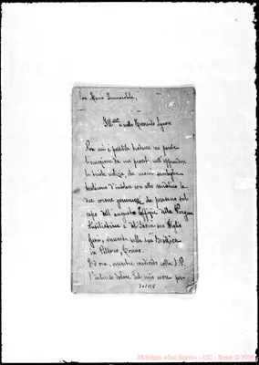 Fotogramma B 8