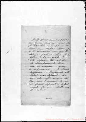 Fotogramma C 11