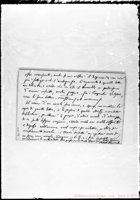 Fotogramma D 11