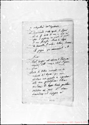 Fotogramma C 1