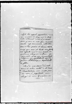 Fotogramma D 7