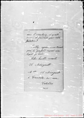 Fotogramma D 8