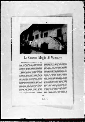 Fotogramma C 4
