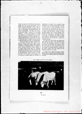 Fotogramma C 6