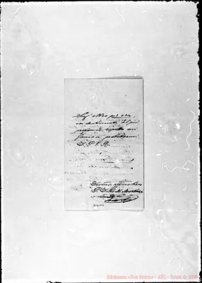 Fotogramma B 3