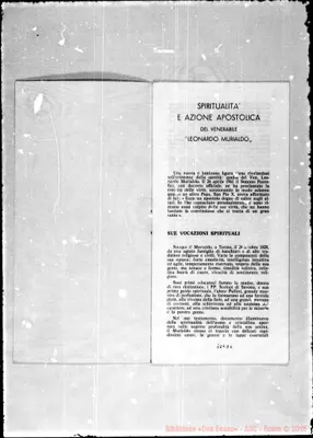 Fotogramma D 6