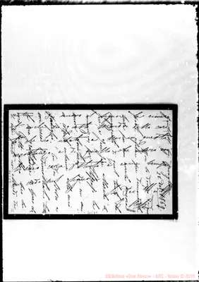 Fotogramma D 1