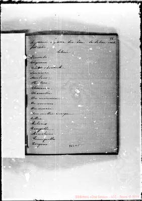 Fotogramma B 5