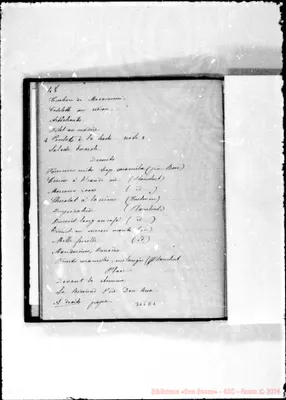 Fotogramma E 2