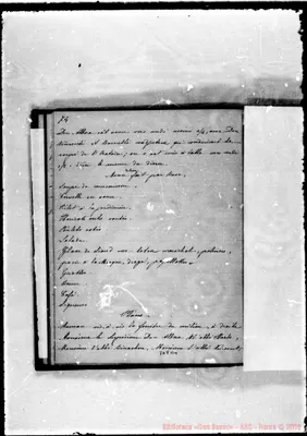Fotogramma B 4