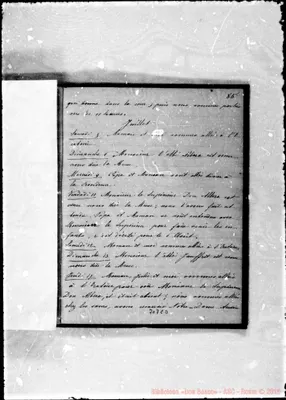 Fotogramma C 3