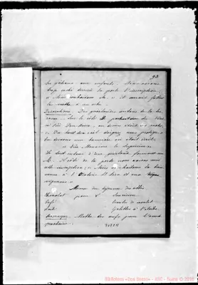 Fotogramma C 11