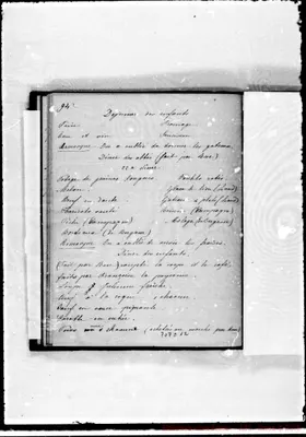 Fotogramma C 12