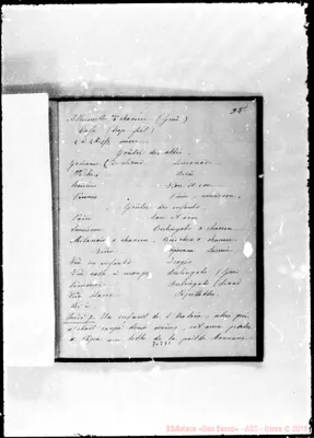 Fotogramma D 1