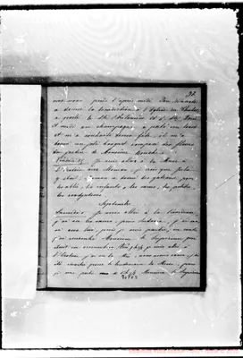 Fotogramma D 3