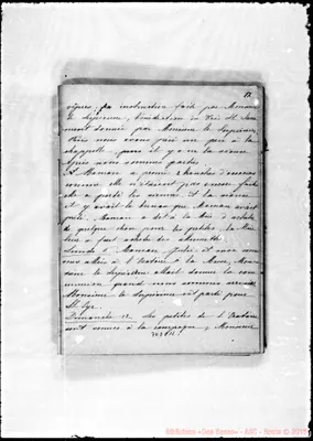Fotogramma C 11