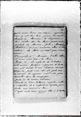 Fotogramma D 3