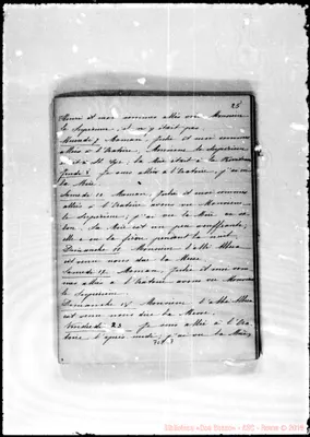 Fotogramma D 7