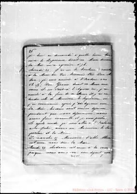 Fotogramma D 8