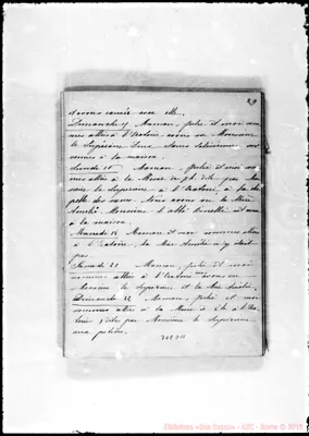 Fotogramma D 11