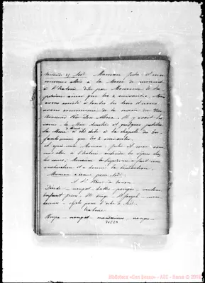 Fotogramma E 4