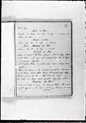 Fotogramma B 2