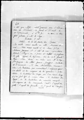 Fotogramma E 7