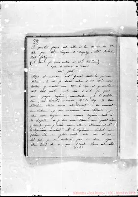 Fotogramma B 5
