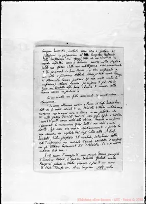 Fotogramma C 11