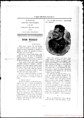 Fotogramma D 8