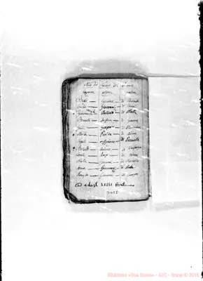Fotogramma E 8