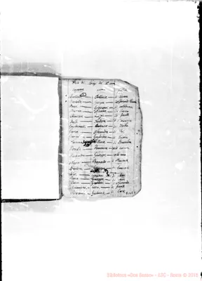 Fotogramma E 9