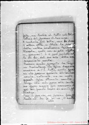 Fotogramma C 5