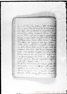 Fotogramma D 1