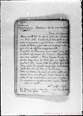 Fotogramma D 3