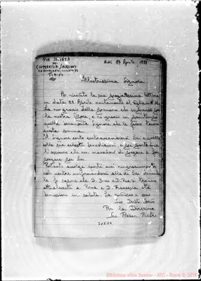 Fotogramma D 4