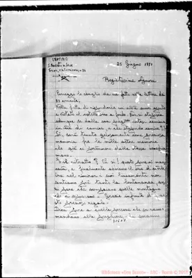 Fotogramma D 7