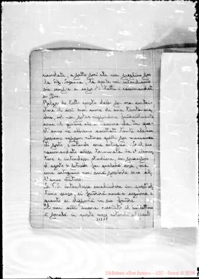 Fotogramma D 8