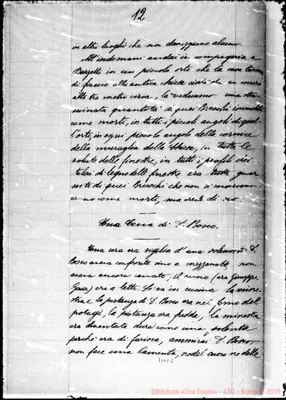 Fotogramma E 8