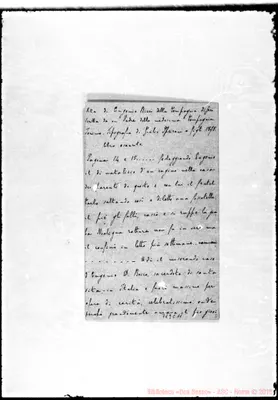 Fotogramma C 11