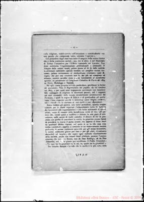 Fotogramma D 11