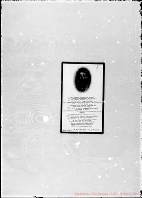 Fotogramma B 12