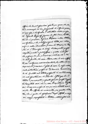 Fotogramma C 7