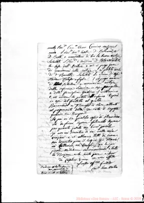 Fotogramma C 11