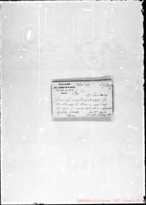 Fotogramma D 6