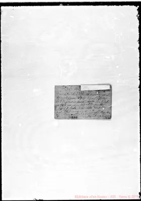 Fotogramma D 11