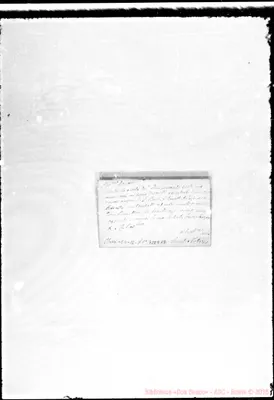 Fotogramma D 12