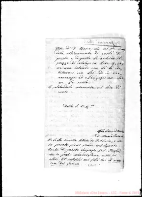 Fotogramma C 5